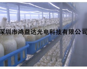 供應(yīng)工廠化杏鮑菇專用LED生長燈 杏鮑菇補(bǔ)光燈