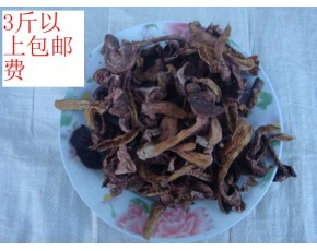 松樹(shù)傘 蘑菇