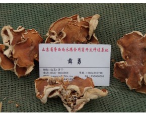 山東榆耳價(jià)格多少，永騰榆耳