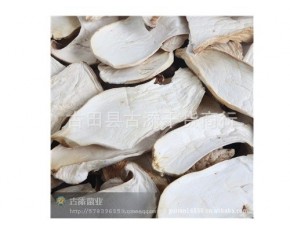 杏鮑菇特級(jí)