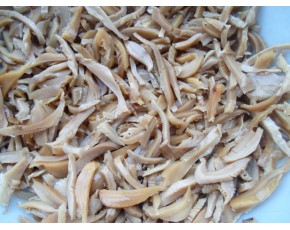 鮑魚菇條