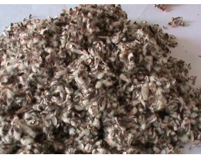 大量銷(xiāo)售棉籽皮