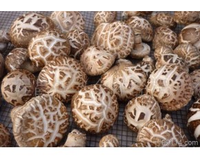 湖北隨州農家自產香菇、花菇大量現(xiàn)貨求買家