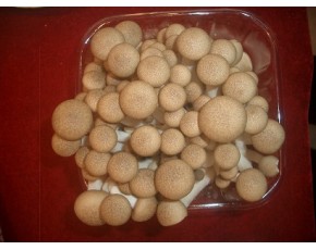 蟹味菇