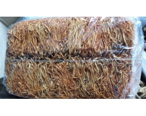 批發(fā)優(yōu)質(zhì)蟲(chóng)草花排草