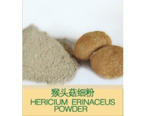 猴頭菇粉，猴頭菇餅干原料