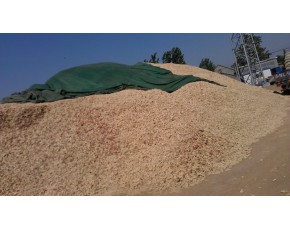 山東玉米芯，玉米芯顆粒