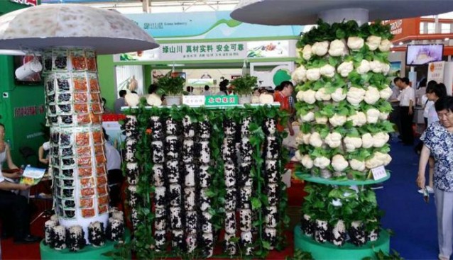 北味集團(tuán)特裝亮首屆中俄博覽會