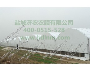 PEP黑白膜，可用七八年不老化