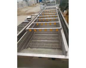 枸杞清洗機(jī)，大棗清洗機(jī)，果蔬清洗設(shè)備