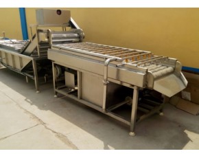羅漢果清洗機(jī)，羅漢果清洗機(jī)廠家，果蔬加工設(shè)備
