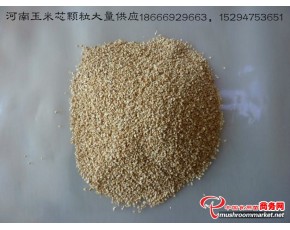 周口市大量供應(yīng)玉米芯