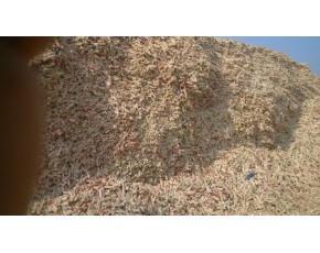山東省菏澤供應玉米芯顆粒用于菌種培養(yǎng)