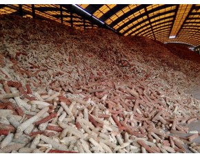 玉米芯、棉籽殼等食用菌原材料大量銷(xiāo)售