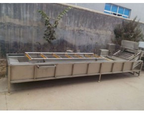 香菇清洗機，蘑菇加工流水線