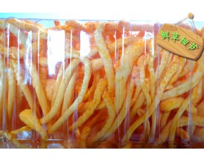 最新北蟲(chóng)草