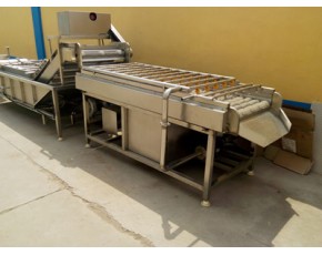 茭白清洗機(jī)，毛輥清洗機(jī)，蔬菜清洗機(jī)廠家