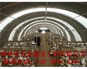 蘑菇大棚建造供應(yīng)商南陽食用菌溫室建造價(jià)格