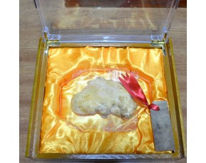 大醫(yī)本草牛樟芝椴木干菇 子實(shí)體 臺(tái)灣進(jìn)口 健康珍品