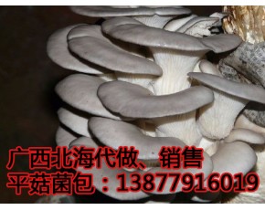 蘑菇平菇菌包代做，銷(xiāo)售
