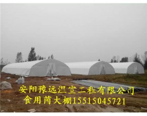 長垣食用菌大棚建設(shè)價(jià)格養(yǎng)殖大棚建造成本
