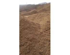 專供食用菌木屑，粗，中，細(xì)三種料