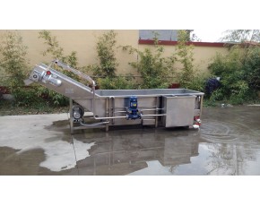 玉米清洗機(jī)，玉米粒清洗機(jī)