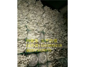 食用菌網(wǎng)格