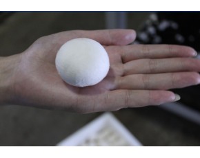 大量新鮮草菇、雙孢菇、白菇供應