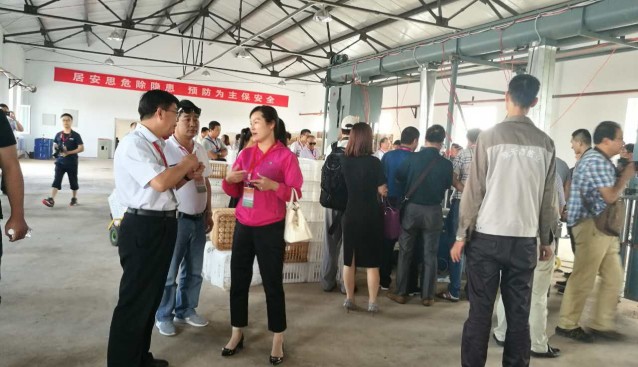 “全國食用菌產(chǎn)業(yè)精準(zhǔn)扶貧經(jīng)驗(yàn)交流會(huì)”參會(huì)代表共同參觀武川縣食用菌生產(chǎn)基地