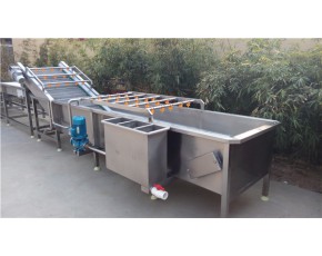 金針菇清洗機 高壓噴淋清洗機 金針菇加工流水線