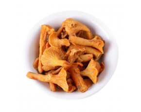 雞油菌