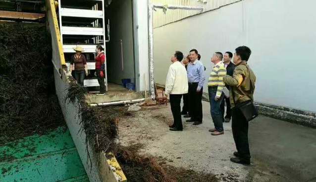 福建：九湖食用菌研究所獲評(píng)“漳州市農(nóng)業(yè)產(chǎn)業(yè)化龍頭企業(yè)”