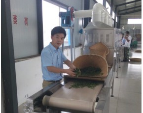 日照綠茶微波殺青機技術(shù)專利,優(yōu)質(zhì)科弘品牌供應(yīng)廠家