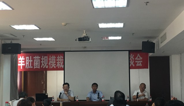 河北：遷西縣召開北方羊肚菌規(guī)模栽培穩(wěn)產(chǎn)高效座談會
