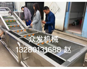 蔬菜毛輥噴淋清洗機 土豆芋頭去皮清洗機 蘑菇清洗加工設(shè)備 