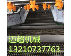 食用菌清洗設(shè)備  高壓噴淋蘑菇氣泡清洗機(jī) 果蔬清洗機(jī)