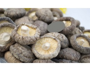 新貨慶元香菇干貨特產(chǎn)冬菇