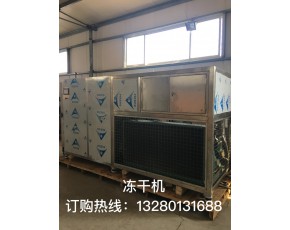 廠家出售真空凍干機(jī)，花菇多功能凍干設(shè)備銀耳冷凍干燥機(jī)