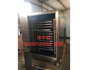 廠家出售真空低溫凍干機(jī)，銀耳多功能凍干設(shè)備花菇冷凍干燥機(jī)