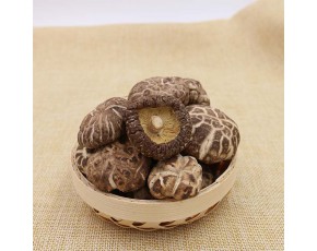 花菇2號(hào)
