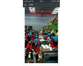 賀海彬?qū)I(yè)裝袋團(tuán)隊在靈寶昌盛寶菇的合作圖片