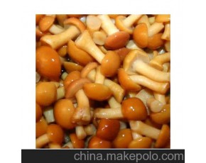 滑子菇量大！來(lái)收購(gòu)商