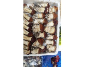 云南供應(yīng)鮮品大球蓋、常年供應(yīng)泉水干品木耳 