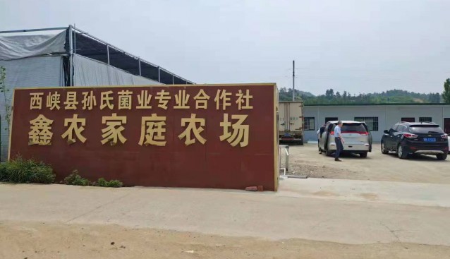 河南省農(nóng)業(yè)農(nóng)村廳合作經(jīng)濟指導處領導一行蒞臨西峽縣孫氏菌業(yè)合作社調(diào)研