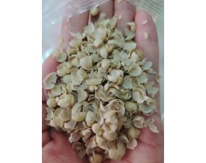 優(yōu)質(zhì)豆皮