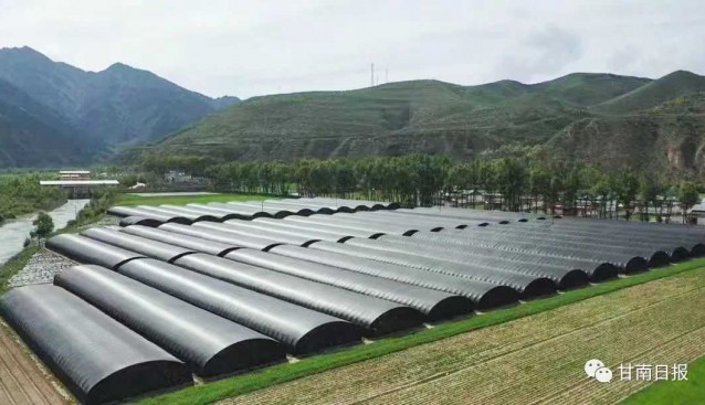 甘肅臨潭縣：大力實施食用菌標準化種植基地建設(shè)項目