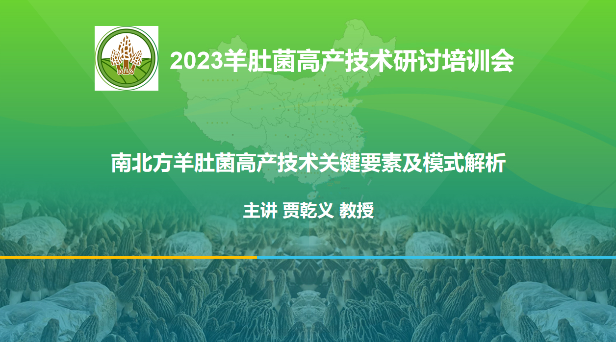 南北方羊肚菌高產(chǎn)技術關鍵要素及模式解析