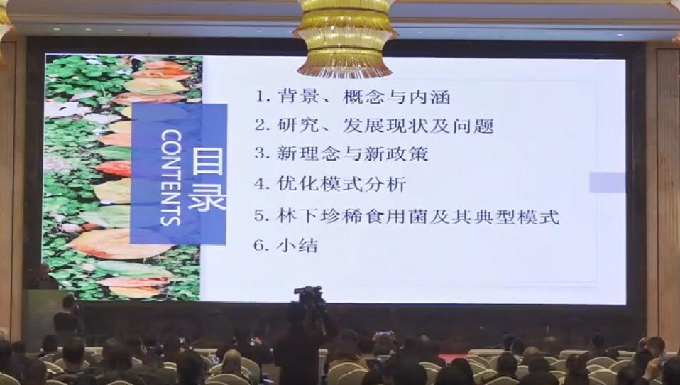 陳幸良：鄉(xiāng)村振興背景下林下經(jīng)濟與珍稀食用菌發(fā)展