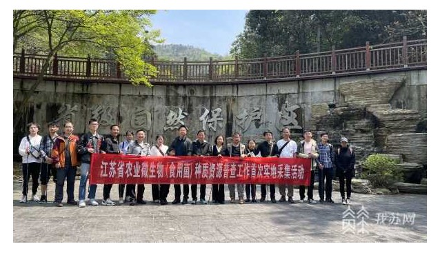 首次實(shí)地采集！江蘇開展農(nóng)業(yè)微生物（食用菌）種質(zhì)資源普查